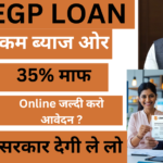 PMEGP Loan Apply Online 2025